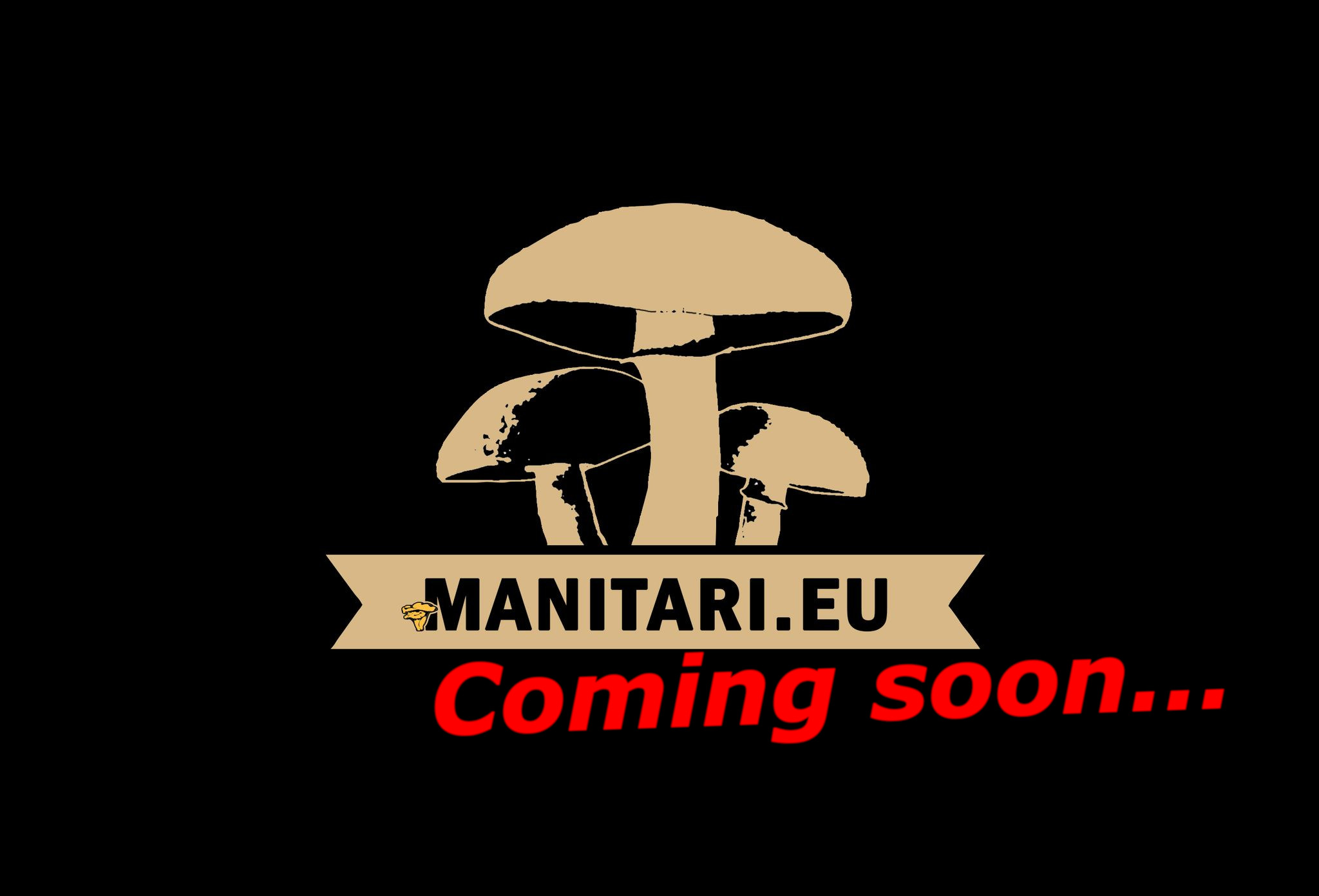 Manitari